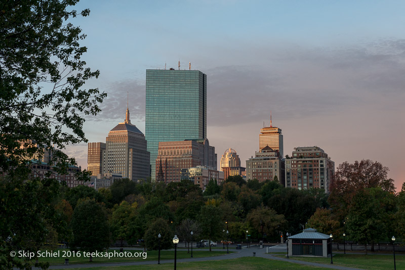 Boston-Social Landscape_DSC2716