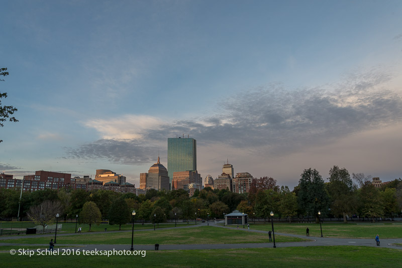 Boston-Social Landscape_DSC2723