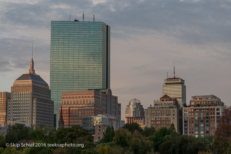 Boston-Social Landscape_DSC2724