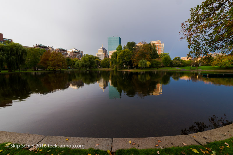 Boston-Social Landscape_DSC2764