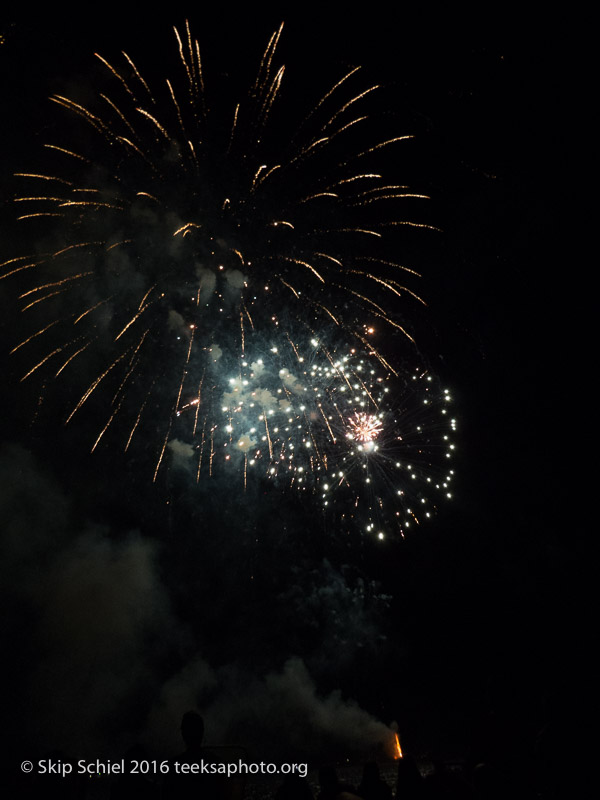Fireworks_IMG_4468