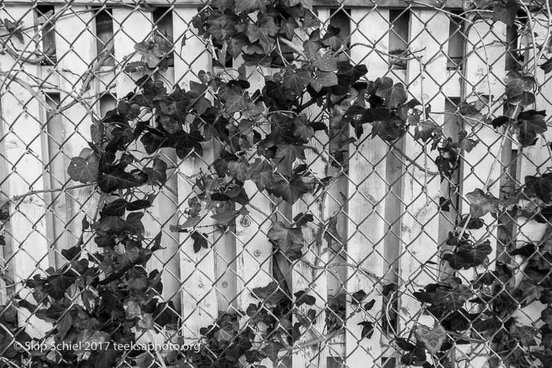 Black and white photography-IMG_5057