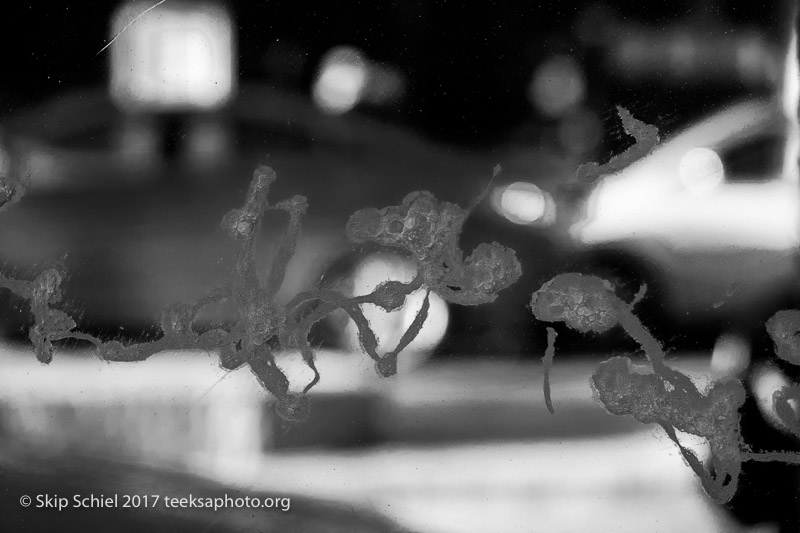 Black and white photography-IMG_5062