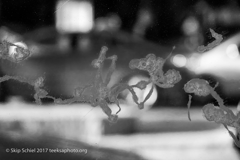Black and white photography-IMG_5063