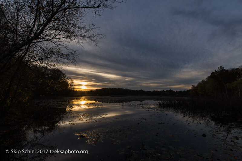 Massachusetts Audubon-Ipswich River-Sanctuary-_DSC7936