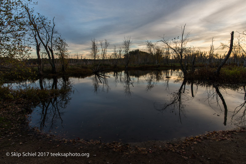 Massachusetts Audubon-Ipswich River-Sanctuary-_DSC7947