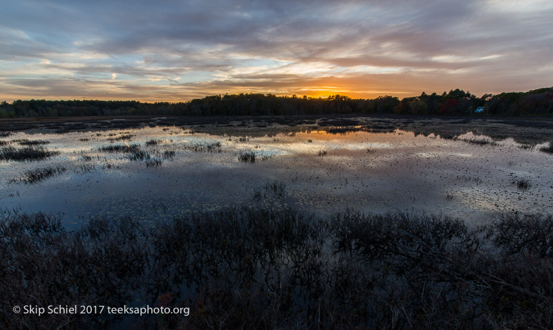 Massachusetts Audubon-Ipswich River-Sanctuary-_DSC7954-HDR