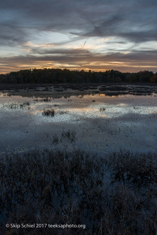 Massachusetts Audubon-Ipswich River-Sanctuary-_DSC7965-HDR