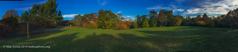 Arboretum-BostonIMG_3778