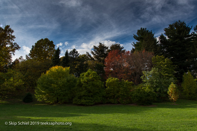 Arboretum-Boston_DSC5266