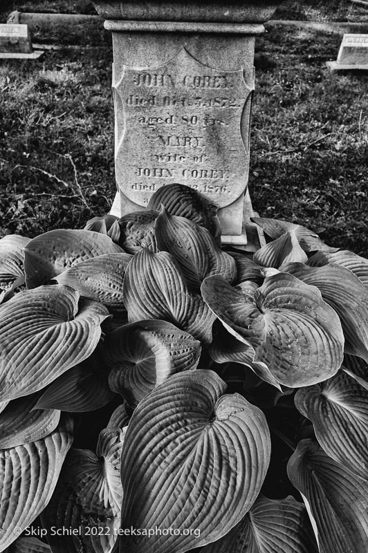 Mt Auburn Cemetery-Skip Schiel-Teeksa_SST2098-Edit