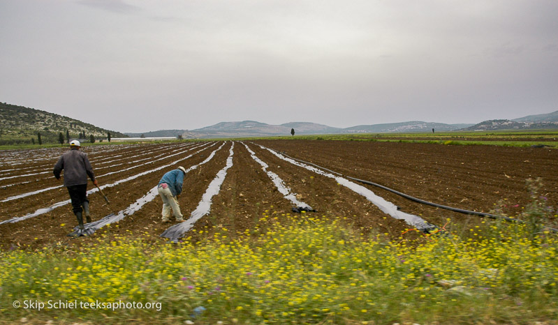 Palestine-Jenin-Teeksa-Schiel__DSC5130