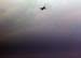 Plane
