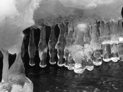 02IciclesBW_9744